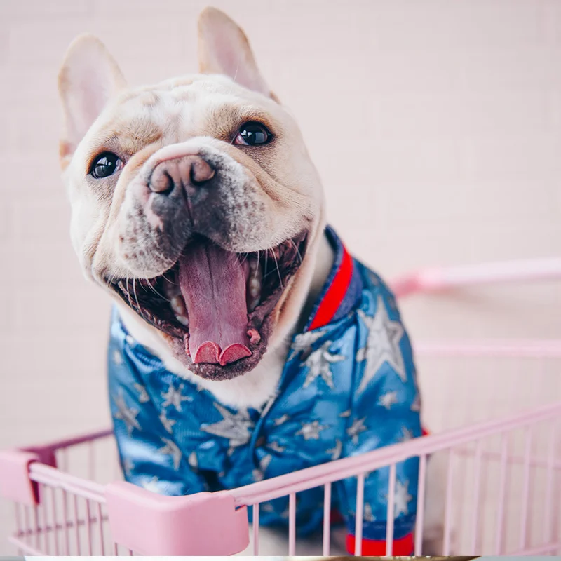 Французская одежда для бульдога собака толстовка роскошный Adidog Теплый Спорт