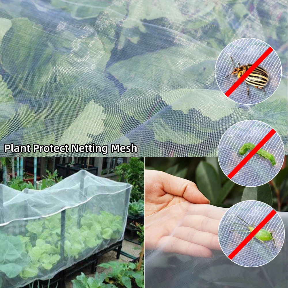 

Large Garden Crop Plant Protection Net Greenhouse Netting Bird Net Pest Insect Animal Vegetable Care Big Mesh Nets 2.5x10m New