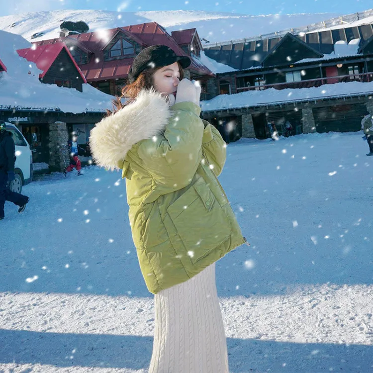 

Photo Shoot Large Fur Collar Cotton Coat Women's Short Cotton-padded Jacket 2019 New Style Cotton-padded Clothes Korean-style Lo