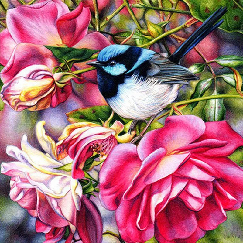 

5D Diy Diamond Painting Bird Full Display Diamond Embroidery Pictures Of Rhinestones Needlework Home Decor