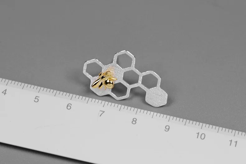 9123524823_886284137