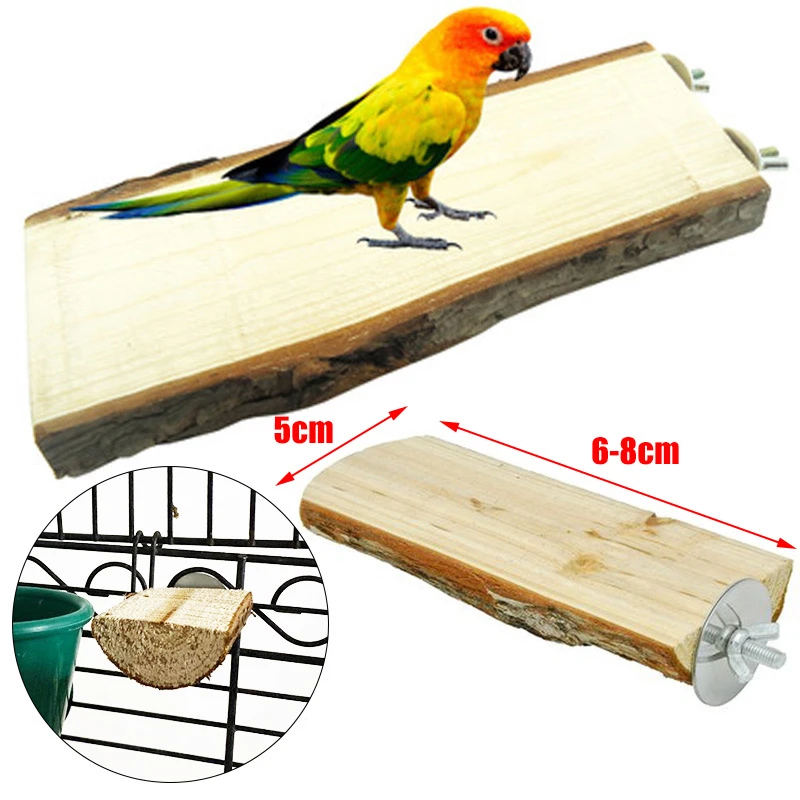 bird toys for rats