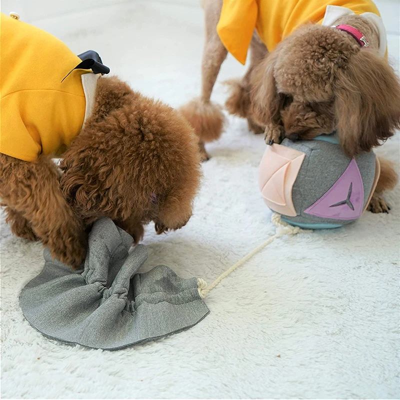 https://ae01.alicdn.com/kf/Hc8c0c53ab0d54211a85872d4329d50cfh/Benepaw-Durable-Dog-Snuffle-Mat-Slow-Feeding-IQ-Treat-Ball-Pet-Toys-Interactive-Eco-friendly-Puppy.jpg