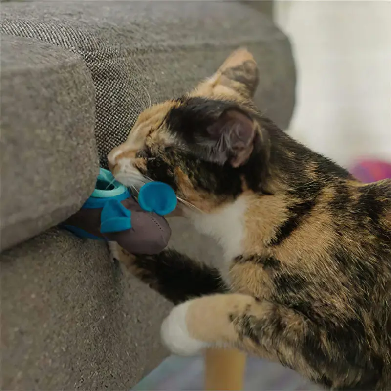 5 шт., игрушка для кошек, забавная игрушка-Кормушка, мышь, протекающие пищевые шарики, развивающие игрушки для домашних животных, устройство для утечки, забавная кошачья интерактивная игрушка U3