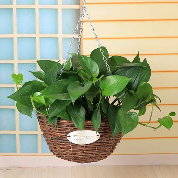 

Flowers Vases Nordic Wall Wood Vase Plant Dried Floral Holder Pastoral Wall Bucket for Home/Wedding Corridor Decoration ZHP011