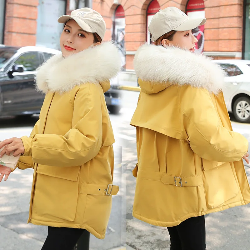 

2019 Winter Thick Fashion Light Luxury Cotton-padded Clothes Extra-large Fur Collar WOMEN'S Dress Warm Cold Protective Clothing