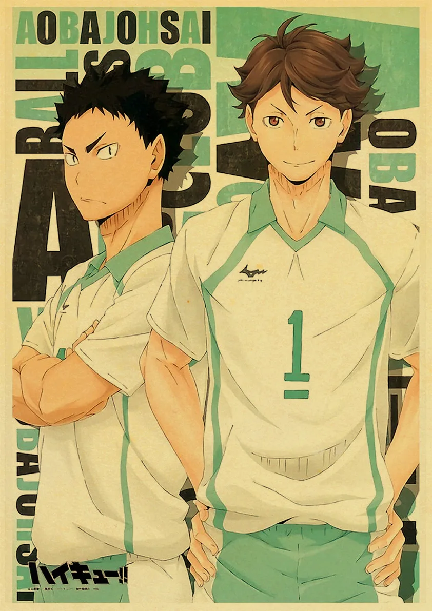 Anime Haikyuu 