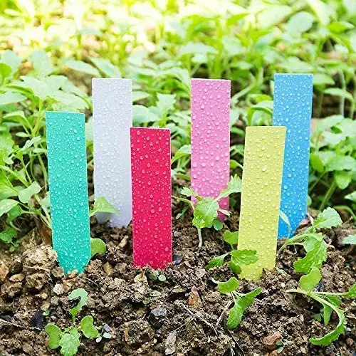 hanging basket flowers 100pcs Plastic Plant Tags Garden Plant Labels Nursery Markers Flower Pots Seedling Labels Tray Mark Tools Garden Accessories clay pots for plants