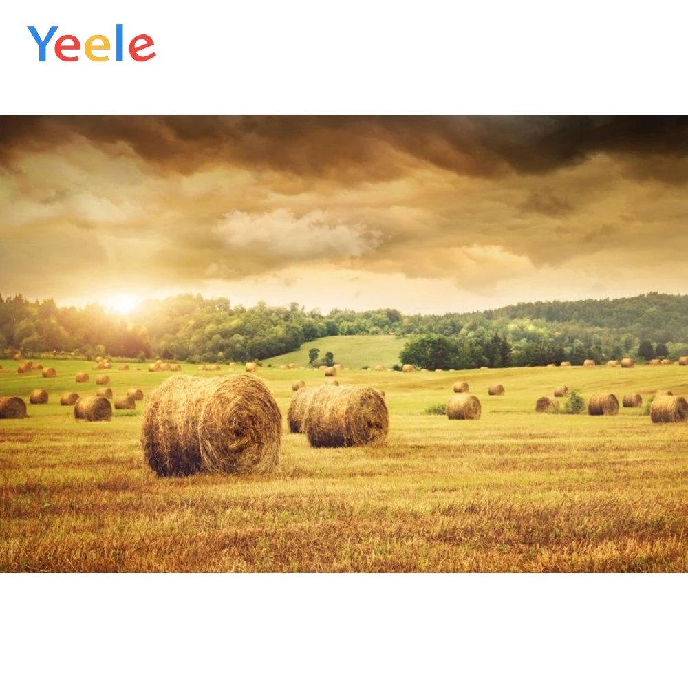 

Yeele Autumn Paddy Field Hay Stack Day Portrait Scene Photography Background Baby Child Photographic Backdrop For Photo Studio