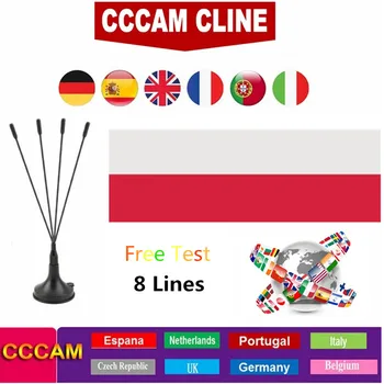 

2020 Cccam clines Poland 1 year stable 8 Line server HD cline cccam Europe Portugal Poland Italia UK for satellite receiver