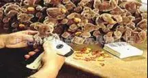 Дунгуань настраиваемый Полярный милый медведь плюшевые игрушки пижамы подушка автомобиль Орна для мужчин t отправить мужчин и женщин друзей подарок