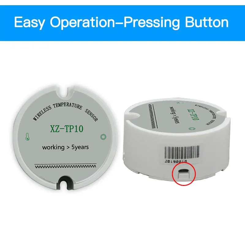 Ethernet Remote Thermometer, Online Remote Temperature Sensor