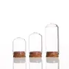 5pcs Home Decor Vases Glass Flower Display Cloche Bell Jar Glass Bottle With Cork Base Dust Cover Display Immortal Flower Box 2