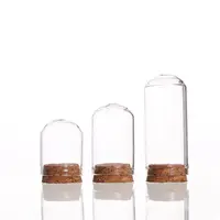 5pcs Home Decor Vases Glass Flower Display Cloche Bell Jar Glass Bottle With Cork Base Dust Cover Display Immortal Flower Box 2
