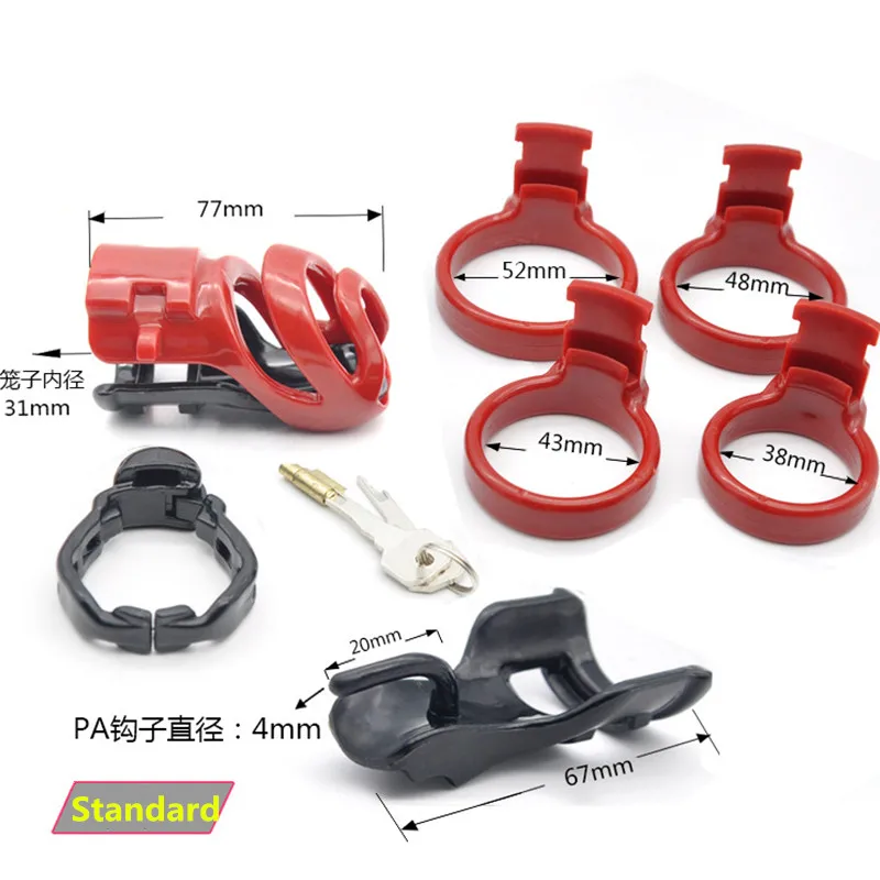 4550386883_222136412