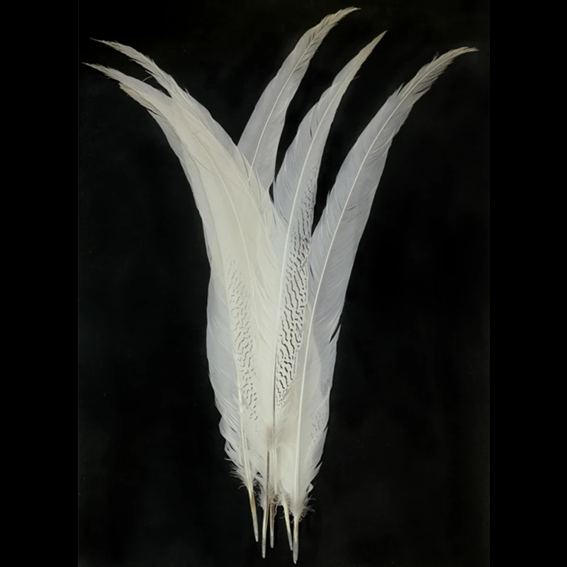 Pheasant Tail Feathers for Crafts Natural Silver Pheasant Feather Carnaval Wedding Feathers needlework accessories Decoration