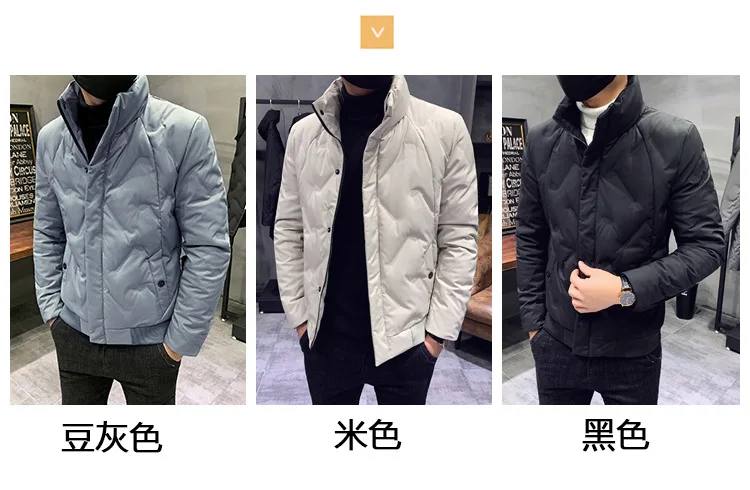 Short Stand Collar down Jacket Men's Japanese-style Slim Fit Korean-style Warm Coat Xj03 down Feather-185