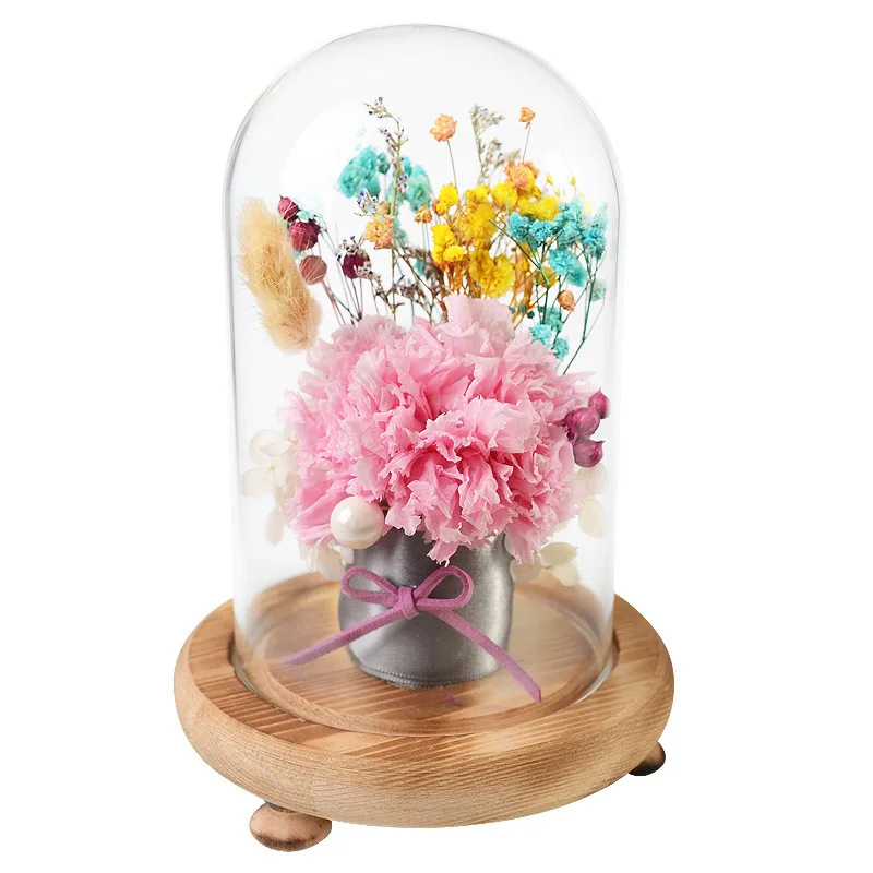 Carnation flower День Святого Валентина стеклянная крышка свежий консервированный цветок розы красивый подарок матери на день рождения Свадебные украшения дома - Цвет: Carnation flower