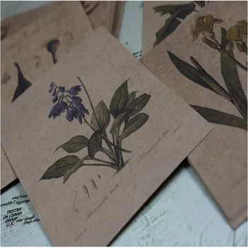 

120sheets/pack Plant Series Vintage Retro Postcard Greeting Post Card Christmas card free shipping