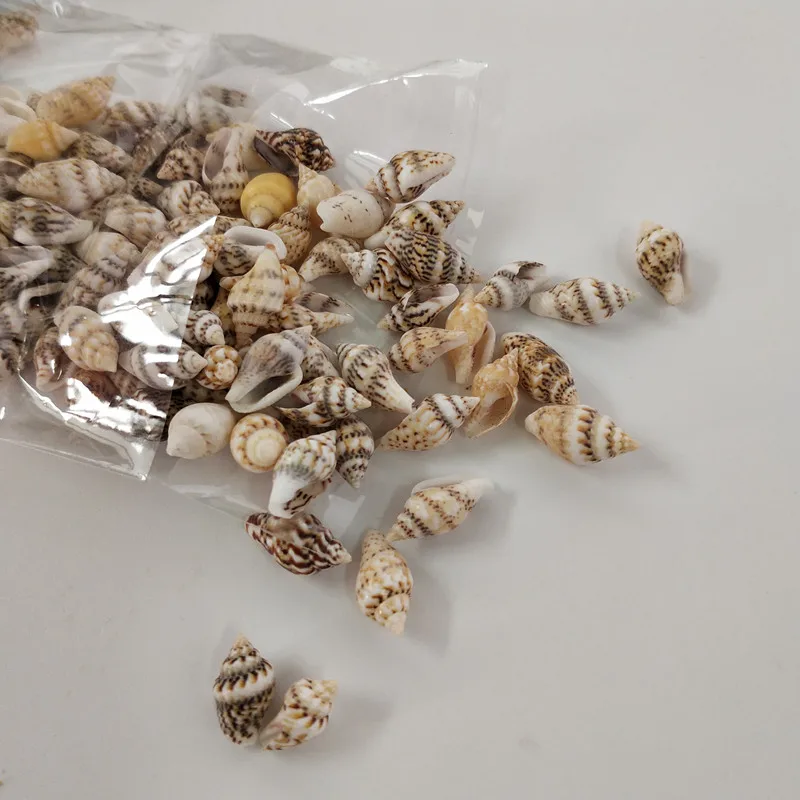 

50pcs/Lot 0.9-1.2cm Small Miscellaneous Conch Home toy sea conch mini Natural Craft Seashell Aquarium Fish Tank Landscape
