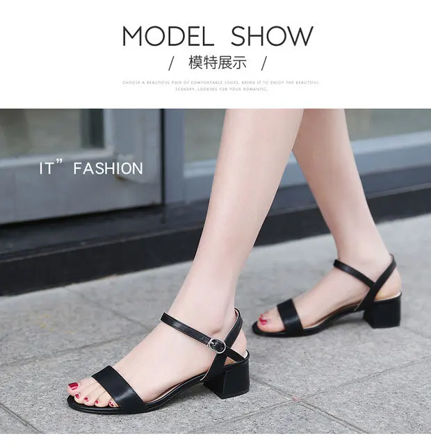 10471744269_1996906762