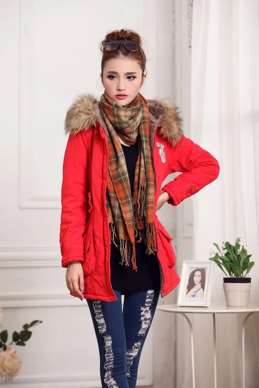 AliExpress женское платье, зима, стиль, Европа и Америка, одежда с хлопковой подкладкой, плюс бархат, с капюшоном, средней длины