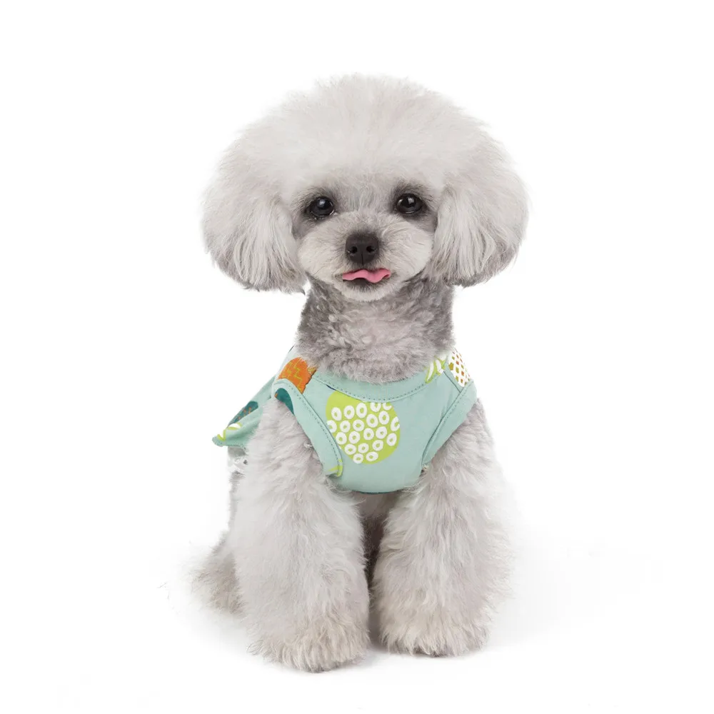 Fruit Design Summer Dress For Dog Pet Clothes Wedding Dress Skirt Puppy Small Dog Clothing Spring Fashion Jean Pet Clothes XS-XL (14)