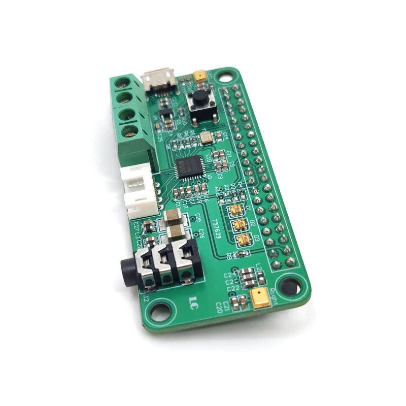 WM8960 Audio decoding module Intelligent voice recognition double Microphone smart speaker DIY | Электроника
