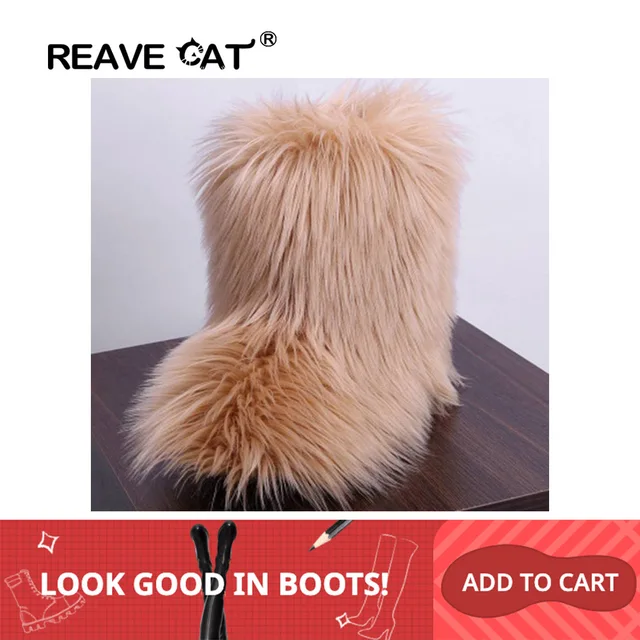 arco cat boots