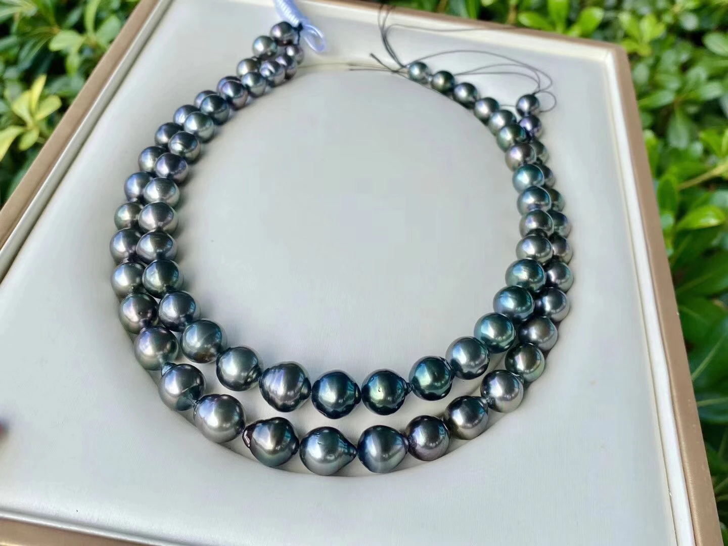 Black Pearl 