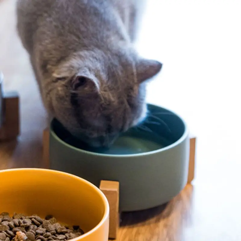 Dog Cat Bowl,Ceramic Pet Bowl with Non-Slip Wood Stand,Water Bowl Dish for Cats