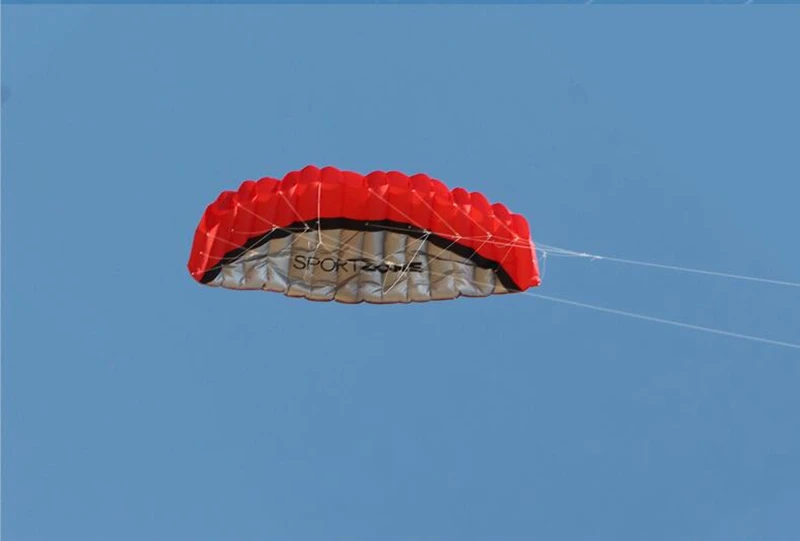 free shipping 2.5m Dual Line Stunt Sports soft Kites with control bar kitesurfing outdoor toys flying kiteboard factory koi new 6