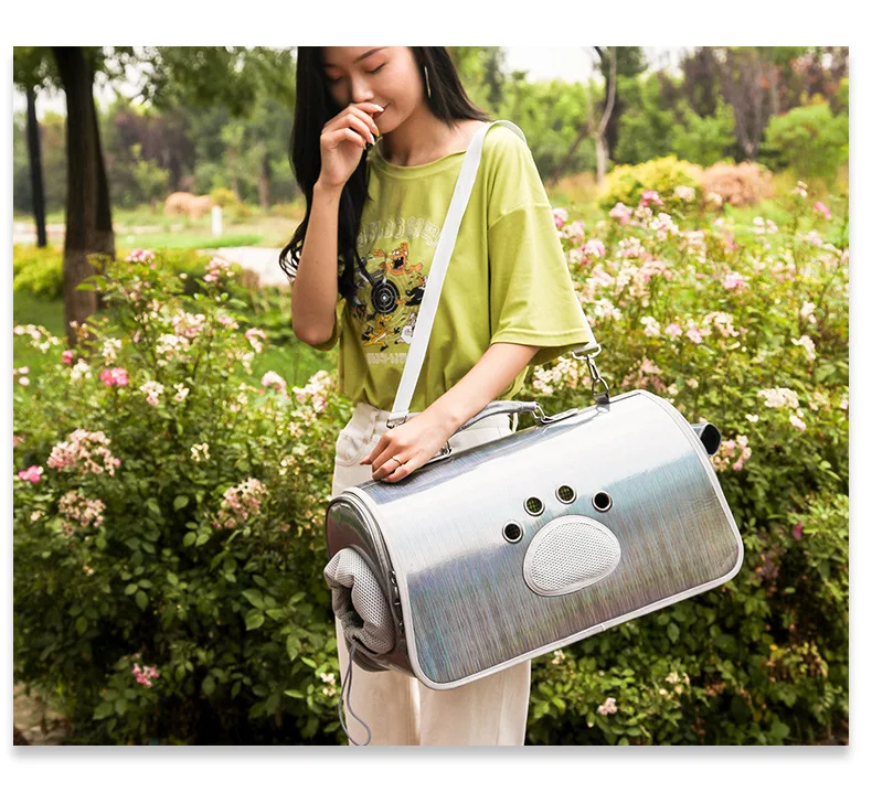 11538069193_299322169