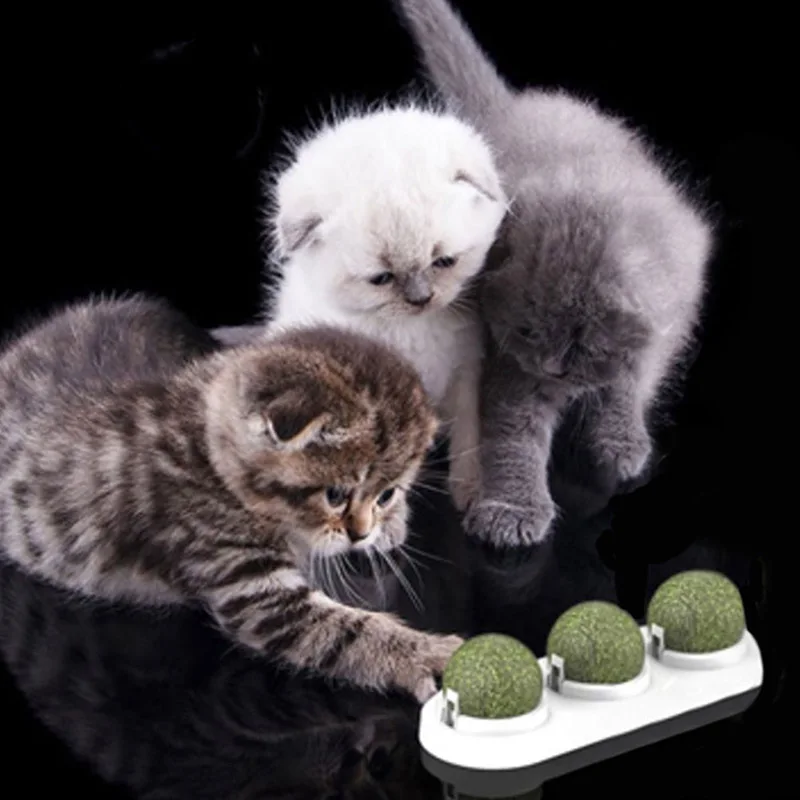 3 шт./партия, самоклеющиеся, вращающиеся Catnip Silvervine Gall, фруктовый листок, шар для кошек, настенное крепление, молярный прорезыватель, игрушка, Новинка