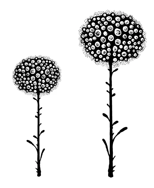 

flower Transparent Clear Stamps for DIY Scrapbooking/Card Making/Kids Christmas Fun Decoration Supplies
