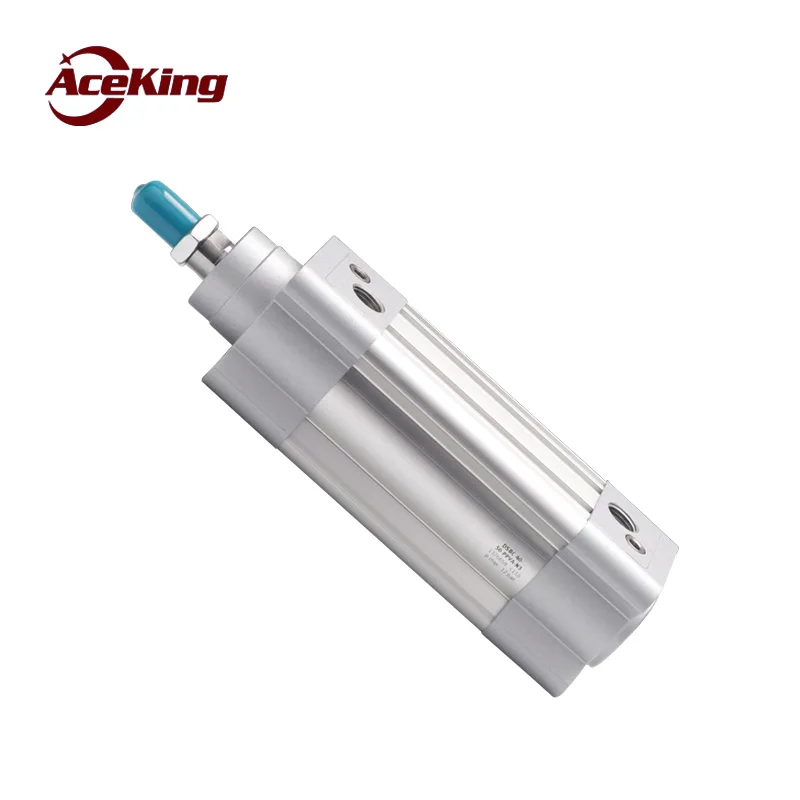 DSBC Standard cylinder small pneumatic accessories complete set dsbc-32-40-50-63-80-100-ppva-n3