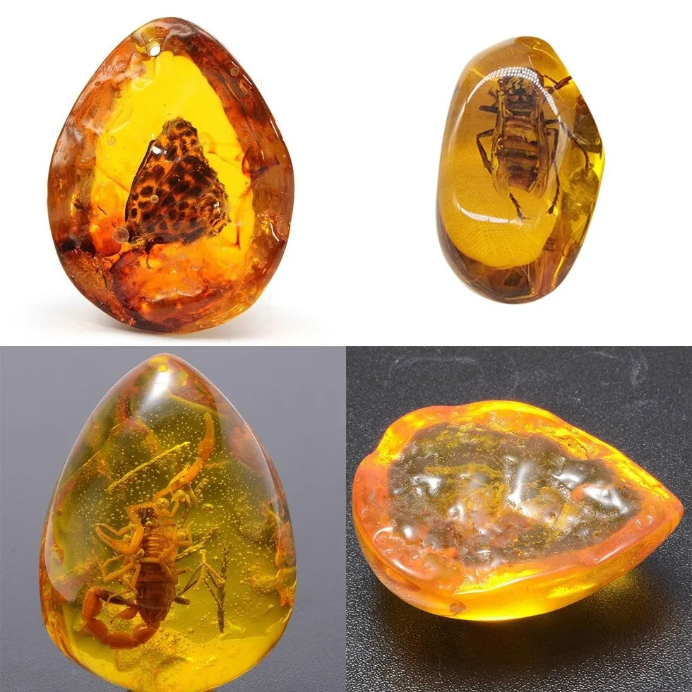 

Natural Rough Butterfly Wasp Amber Stone Insect Spcimen Pendant Necklace Gemstone Table Decoration DIY Jewelry Craft Pendant