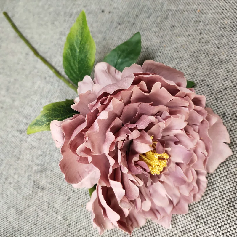 17724914387_1611482457