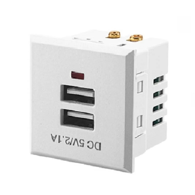 Белый Универсальный адаптер зарядного устройства с двойным USB розетка встроенный Панель розетка переменного электрического Мощность разъем - Цвет: Белый