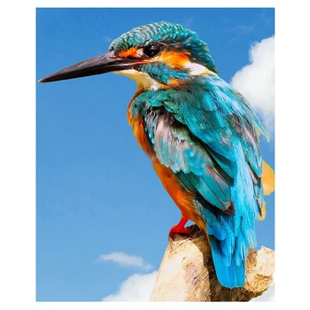 

New arrival DIY Diamond Painting kingfisher animal pattern 5D Full Square Diamond Embroidery bird Mosaic Decoration JS5559