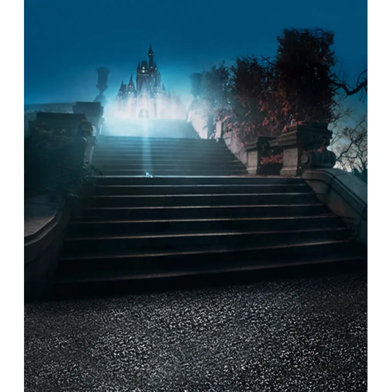 Виниловый фон для студийной фотосъемки с изображением замка | Электроника
