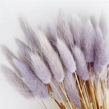

50PCS/lot Dried Flowers Rabdosia Natural Dried Flower Branches Dried Grass Wedding Home Easter Decorations Fake Flowers