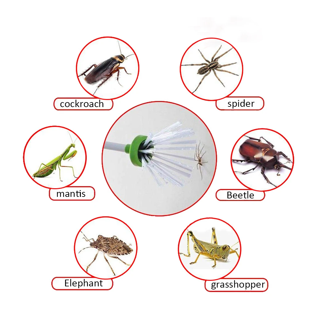 My Critter Catcher ручная ловушка для ловли насекомых-пауков, ловушка для насекомых, для путешествий, дружественная гуманная ловушка, инструменты для борьбы с вредителями