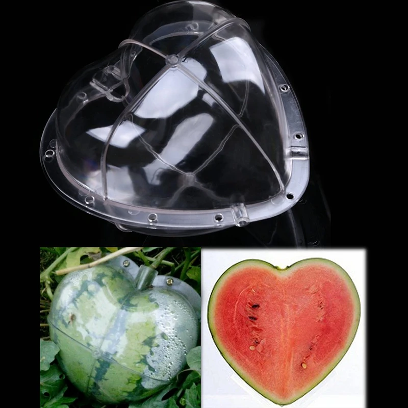 Большая Пластиковая Прозрачная форма для выращивания арбуза в форме сердца, Прозрачная форма для формирования роста фруктов, форма для сада