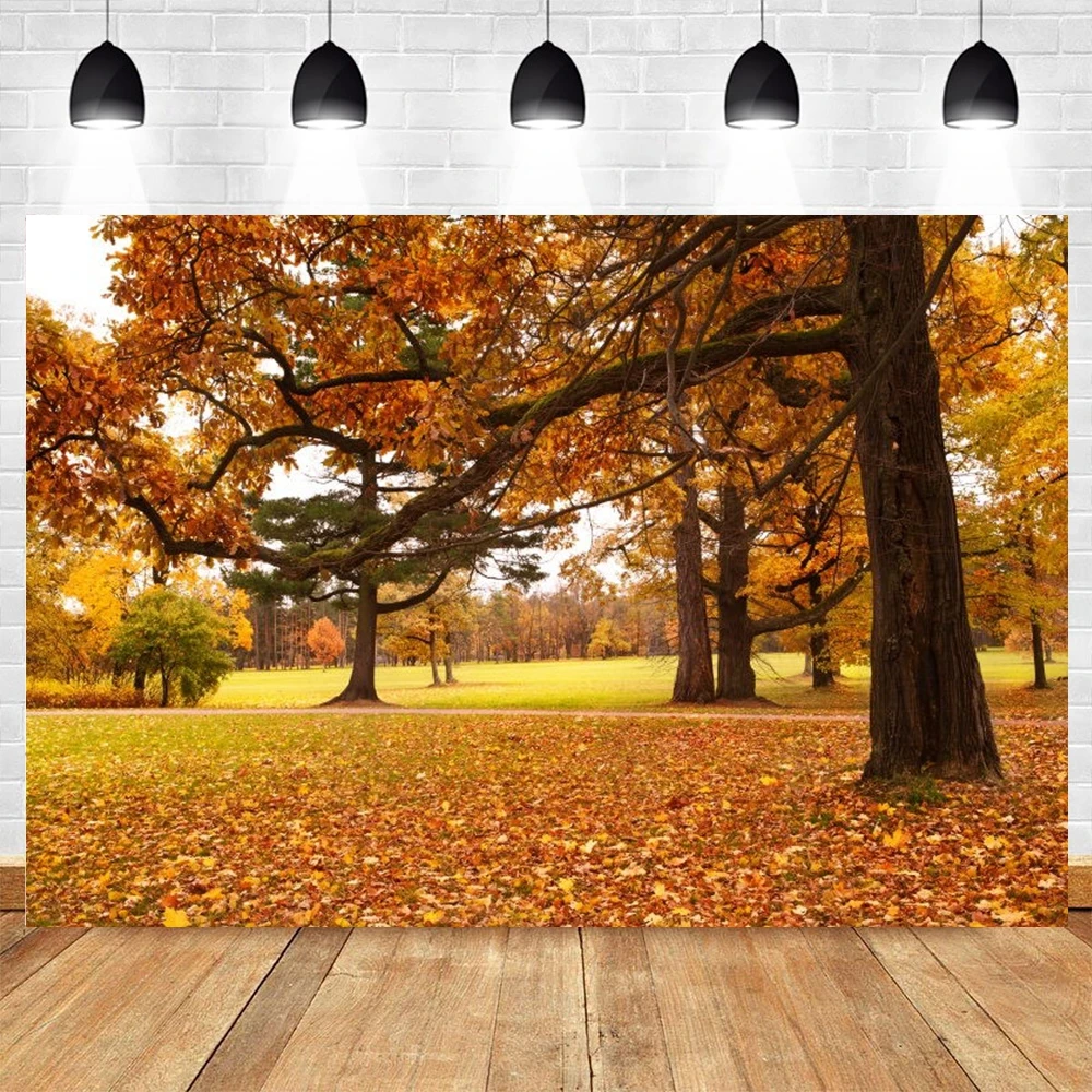 

Виниловый фон для фотосъемки с осенним лесом и листьями, пейзажем, парком, садом