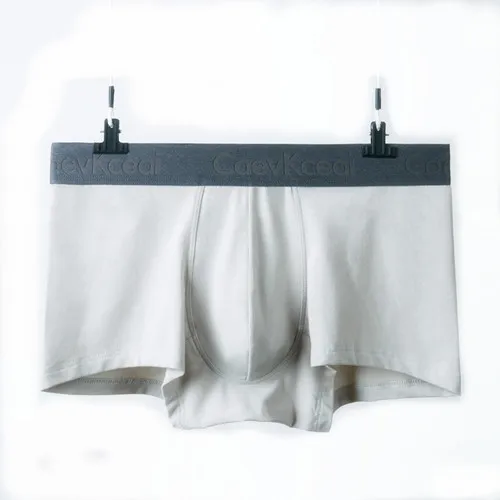 White ash Мужские трусы из сетчатого хлопка, мужское нижнее белье, боксеры, дышащие мужские боксеры, одноцветные трусы, удобные брендовые сексуальные шорты Jdren - Цвет: White ash