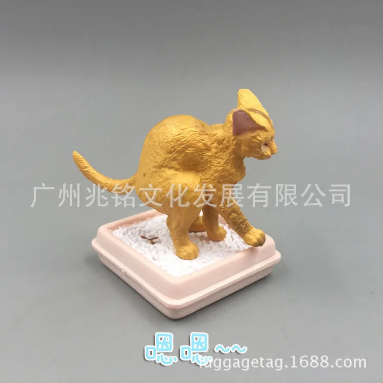 Cat страна история 4th эластичный-в штучной упаковке капсула игрушка украшения Солнцезащитные очки «мати история супер милые, миленькие в японском стиле(«Каваий»