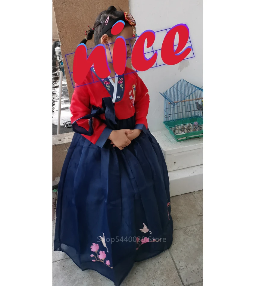Платье ханбок с вышивкой для девочек; детский традиционный костюм в Корейском стиле; наряд принцессы на год; национальная одежда; Одежда для танцев на сцене