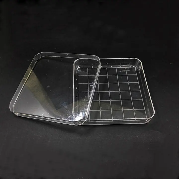 20 шт/лот одноразовые 10 см x 10 см Пластиковые полистирол квадратное чаша Петри, чашка для культивирования пластины для лабораторного анализа