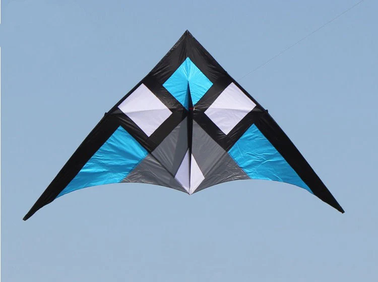 Strong Huge 118 Inch  Beginner delta Kite  Come With String And Handle for Adults Kites 3